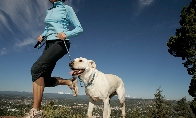 Fitness con mascotas: Tips para disfrutar ejercitarte junto a tu perro