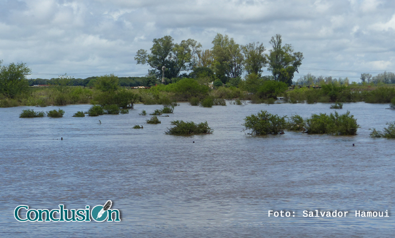 Inundaciones: Senado aprobó la emergencia para Santa Fe y otras 9 provincias
