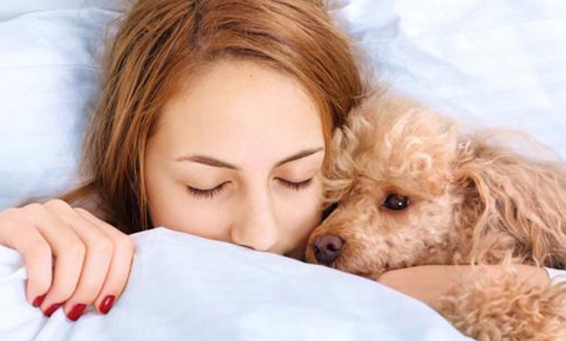 Dormir con animales puede ser una solución a los problemas de sueño