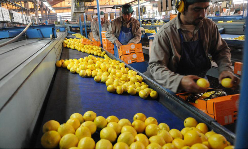 Trabajadores del limón cortan rutas en Tucumán para reclamar un aumento salarial