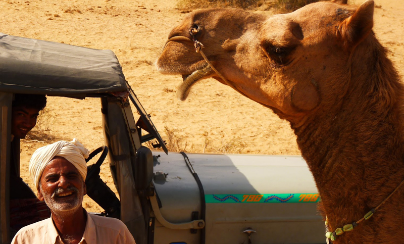 Dos camellos desorientados paralizaron el tránsito en China