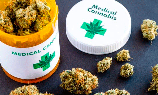 Cannabis medicinal: reclaman al Gobierno nacional la reglamentación de la ley