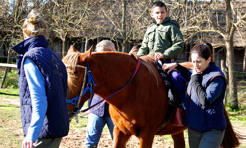 El caballo como una función terapéutica en discapacitados