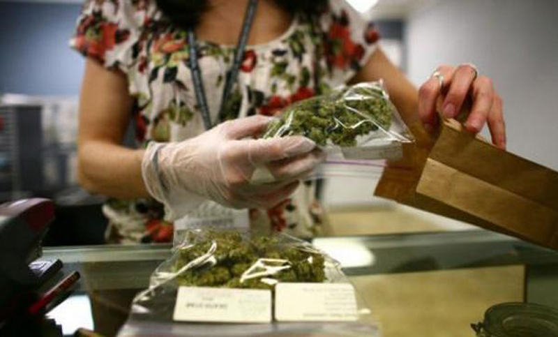 Uruguay aumentará la producción de Marihuana para venta en farmacias