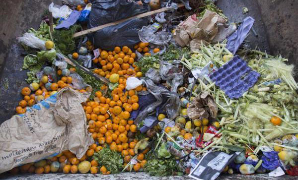 Argentina desperdicia 16 millones de toneladas de alimentos por año