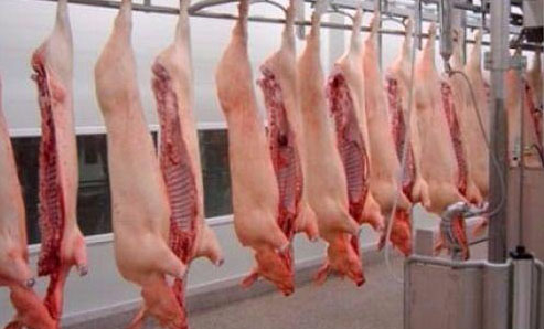 Productores porcinos, en alerta por la importación de carne de cerdo