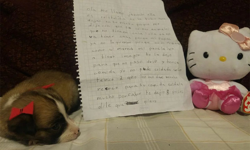Conmovedora carta de una niña obligada a abandonar una perrita
