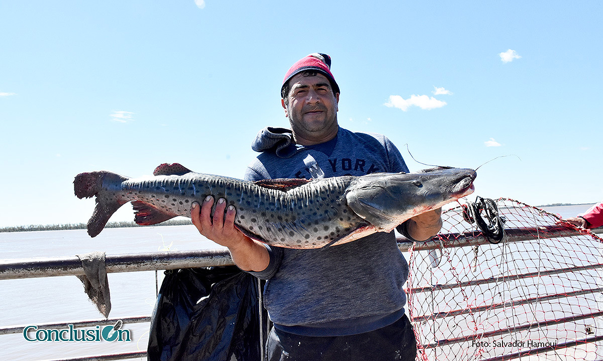Pesca monumental: Luis sacó un surubí de 10 kilos a orillas del Paraná