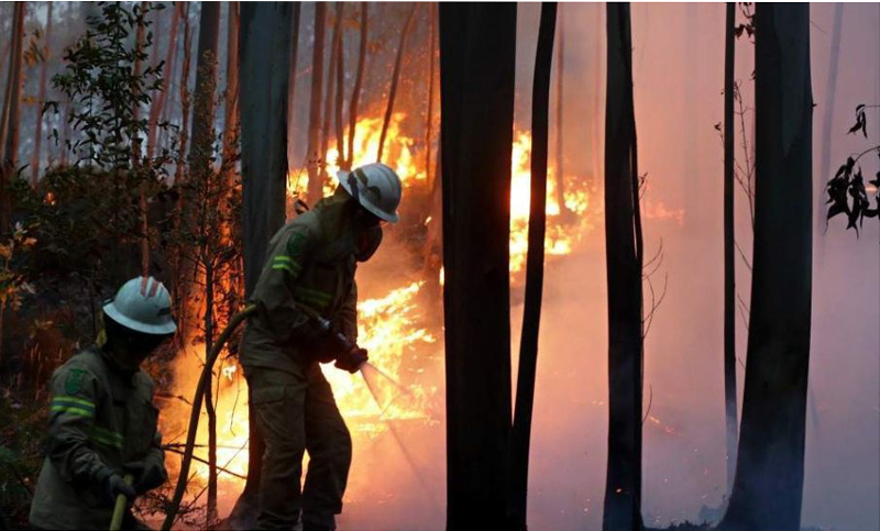 Los incendios mortales en Portugal causan la renuncia de una ministra