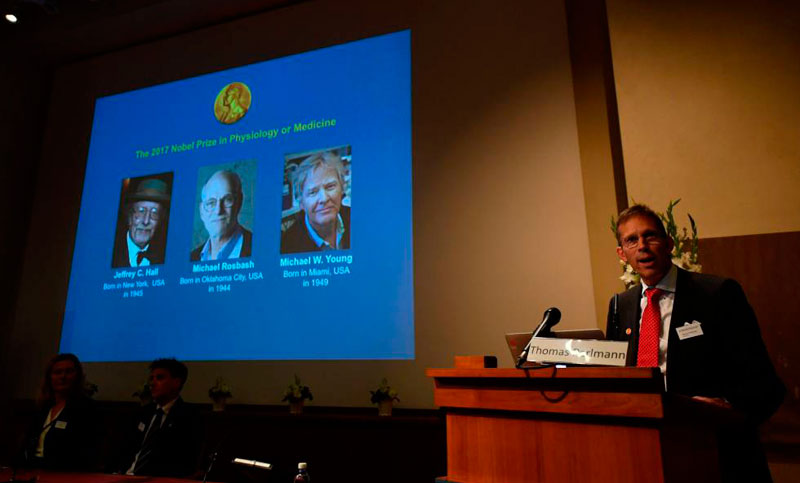 Tres estadounidenses expertos en reloj biológico se llevaron el Nobel de Medicina