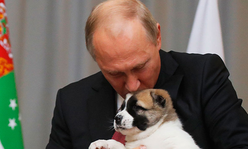 Putin endurece el castigo por crueldad hacia los animales