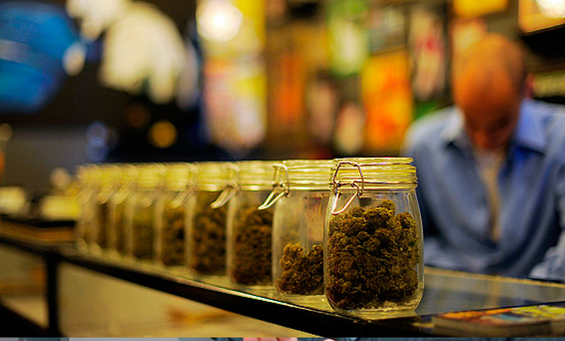 Uruguay incorporará expendios de marihuana en el primer semestre del año