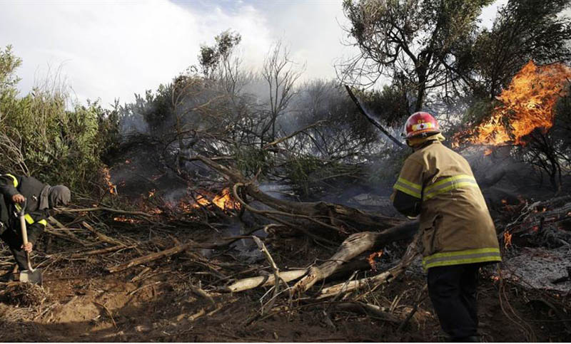 Voraz incendio quema bosques en Villa Gessell