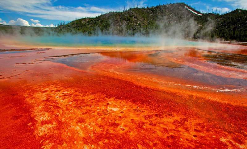 ¿Es inminente una erupción? Se registraron más de 200 temblores en Yellowstone