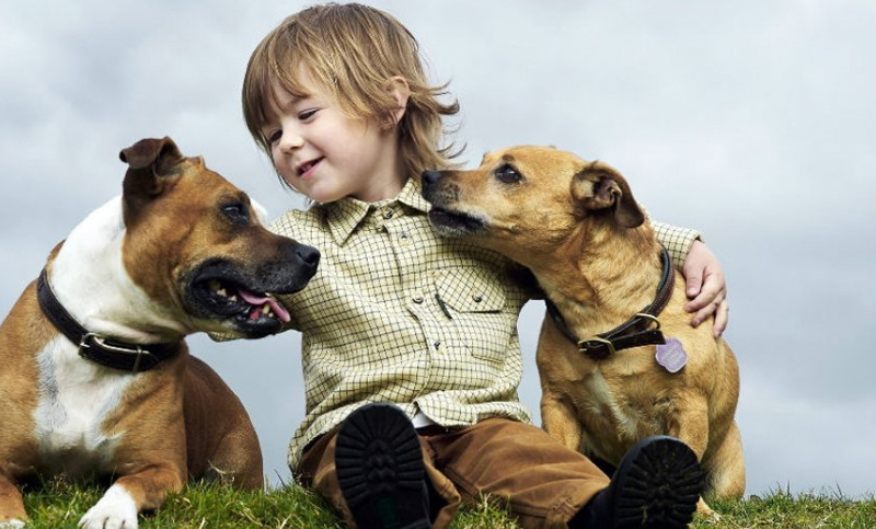 La población canina dobla a la de niños menores a cinco años