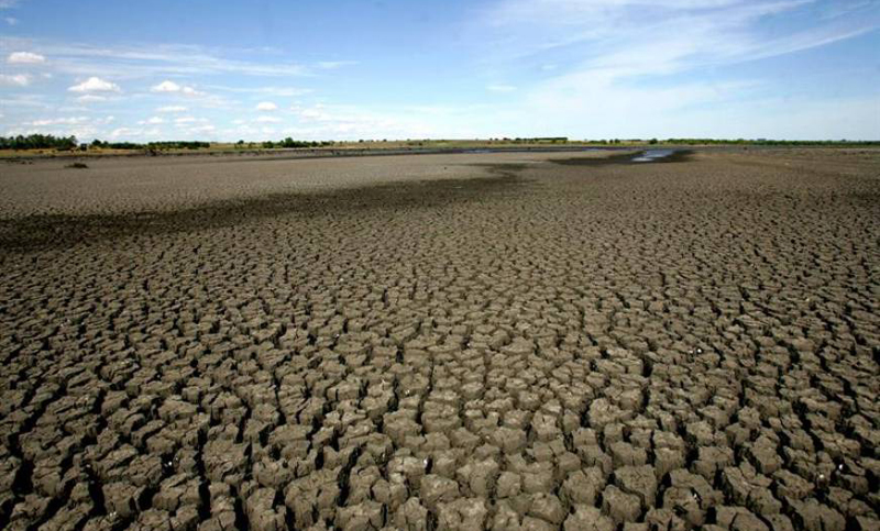 Uruguay extiende la emergencia agropecuaria por sequía a 14 departamentos