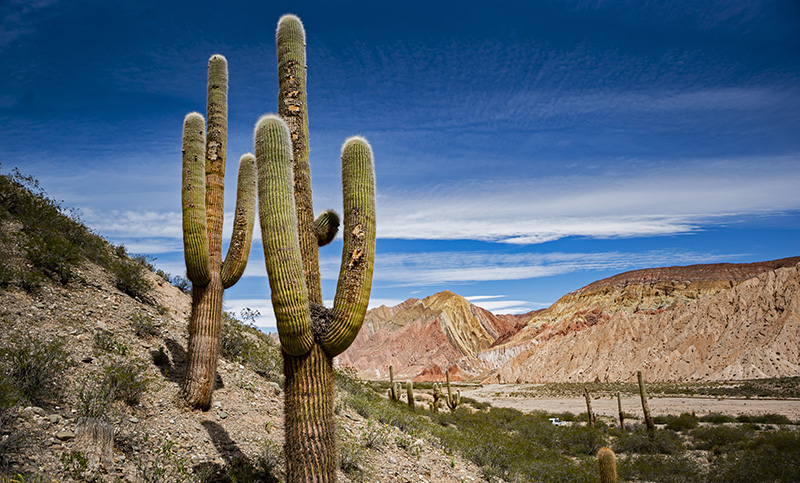 Cachi, uno de los «pueblos auténticos» de Salta