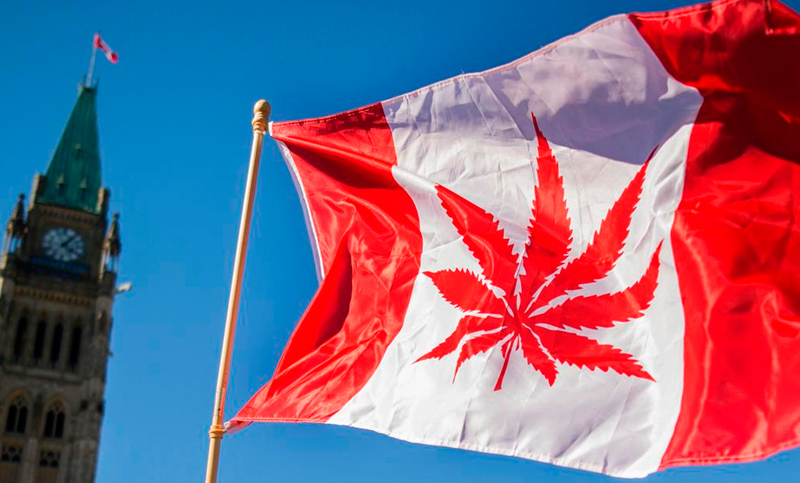 La marihuana ya es legal en Canadá
