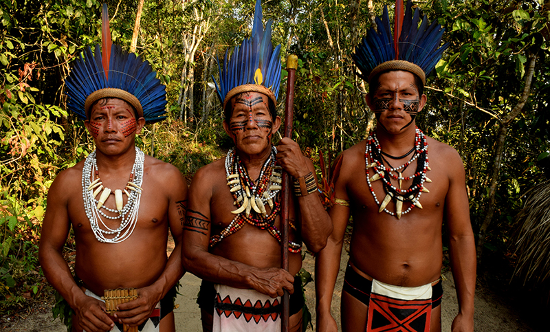 Conclusión en Amazonas: las comunidades indígenas peligran con Jair Bolsonaro