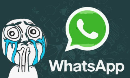 Whatsapp para 2019