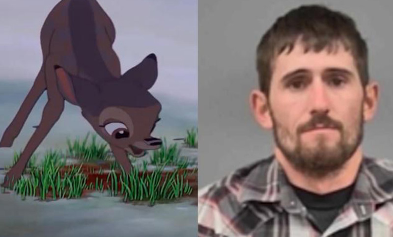 Condenan a un cazador de Missouri a ver una vez al mes la película de «Bambi»