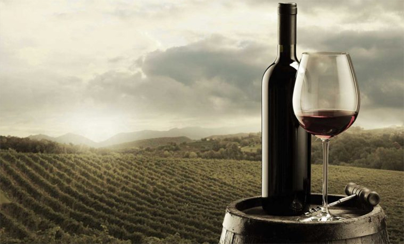 Detectan glifosato en el 100% de los vinos californianos, incluso en los orgánicos