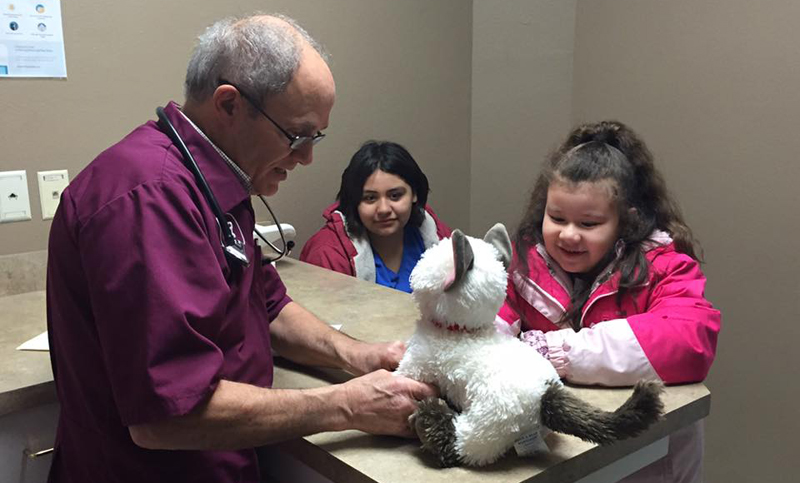 Un veterinario atendió a un gato de peluche “enfermo” de una niña autista