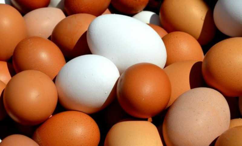 Argentina venderá huevos, limones y semillas a India