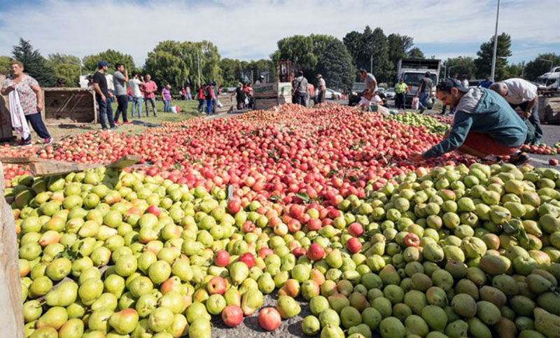 Alertan por quiebras masivas a raíz del bloqueo de Brasil al ingreso de peras y manzanas