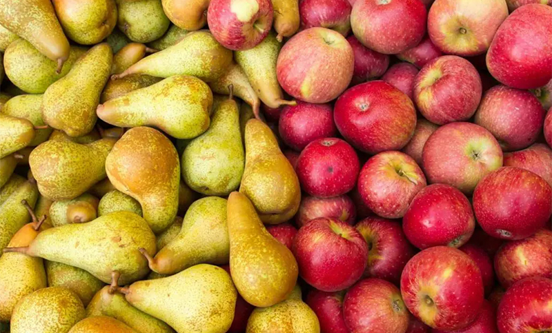 Brasil suspendió el ingreso de peras y manzanas de la Argentina por una plaga