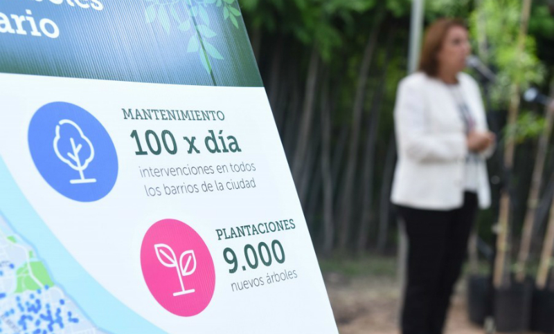 La Municipalidad se propone plantar nueve mil árboles este año