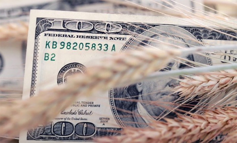 Si el campo no liquida rápido la cosecha, ¿se viene otra crisis financiera?