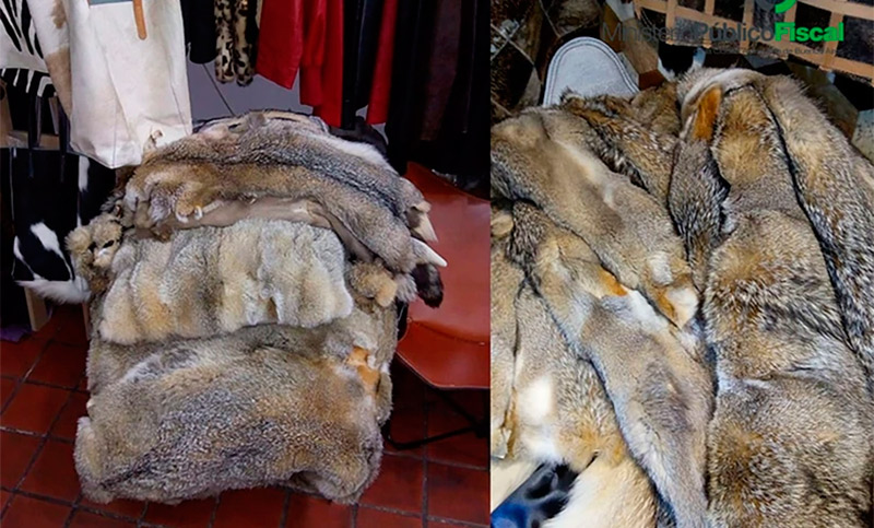 Secuestraron casi un centenar de pieles de animales que se vendían ilegalmente