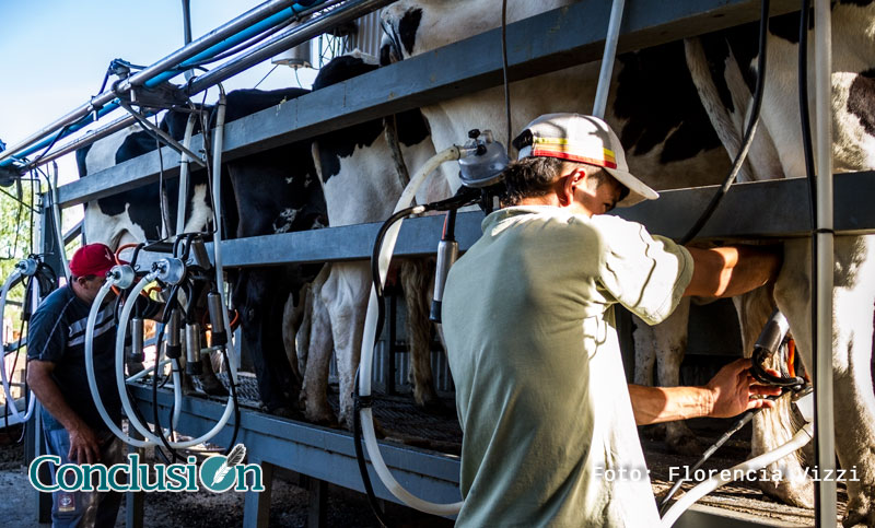 El cierre de más de 700 tambos ocasiona escasez de leche