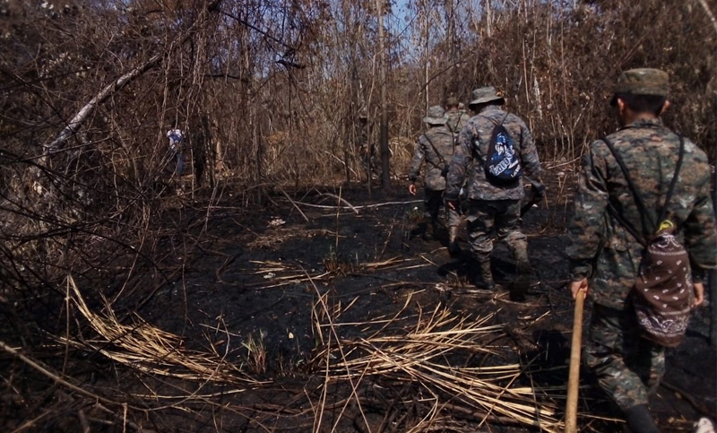 Incendios arrasan unas 8.700 hectáreas de bosque en Guatemala desde diciembre