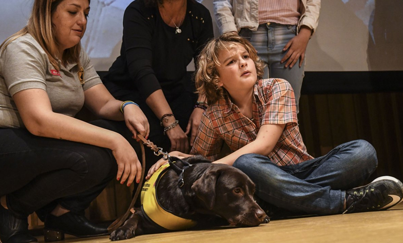 Cinco chicos autistas recibieron perros de asistencia para facilitar su vida cotidiana