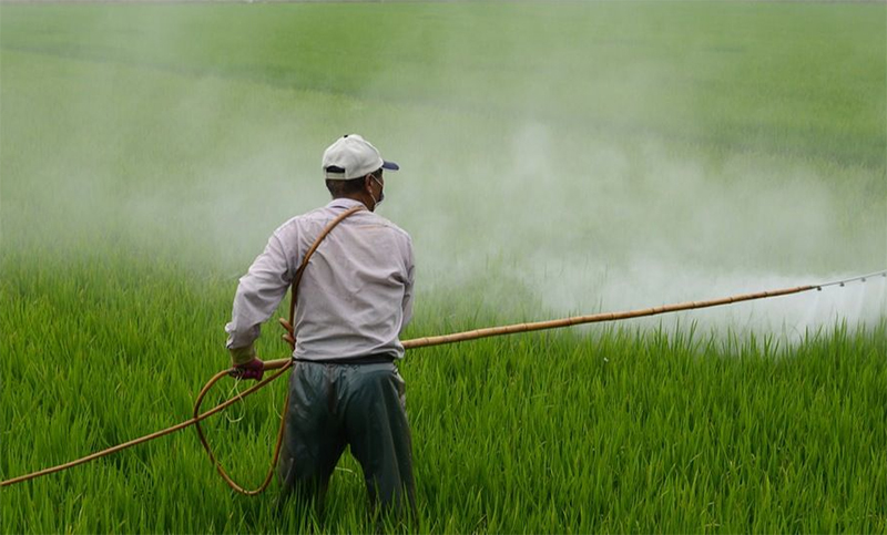 Ya son 17 los países que restringieron el uso de herbicidas con glifosato en el mundo