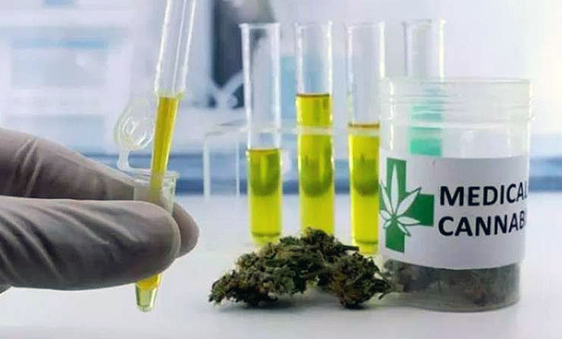 Detectaron mala calidad del aceite de cannabis y la provincia pide producirlo