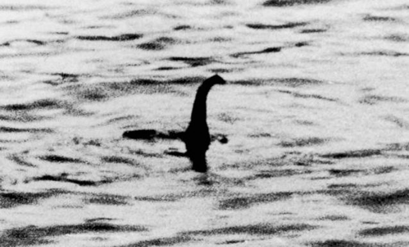 Adiós al misterio: esta es la criatura que se esconde tras el monstruo del Lago Ness
