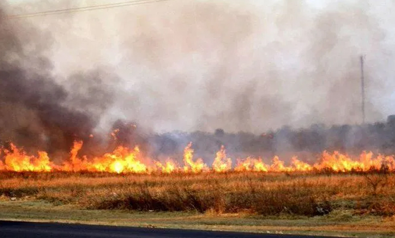 Se registraron 250 focos de incendio en zonas rurales de Corrientes