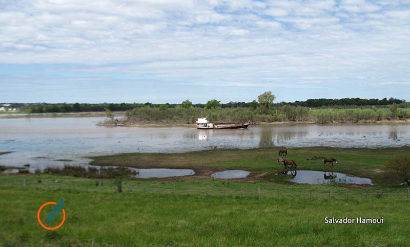 Piden “precaución” para navegar por el Paraná debido a la bajante 