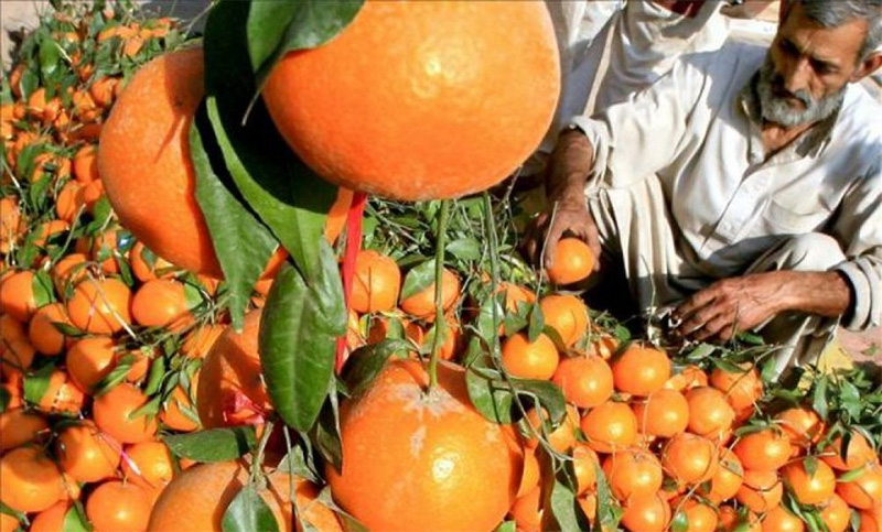 Federación Agraria aseguran que el pequeño productor «no puede soportar más carga» impositiva
