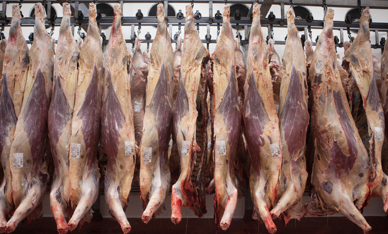 Rusia detectó Ractopamina en la carne argentina y puede restringir las importaciones