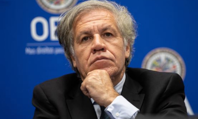 La OEA entregó al gobierno de facto de Bolivia el informe final de su auditoria electoral