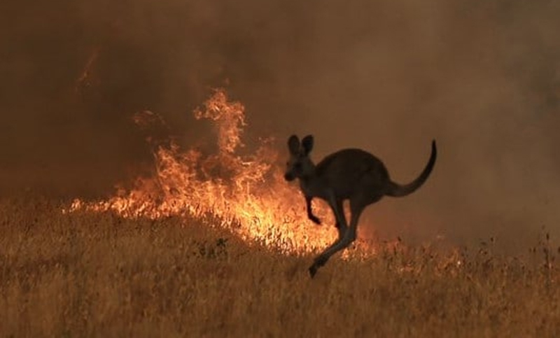 Australia: miles de personas evacuadas ante avances de incendios forestales