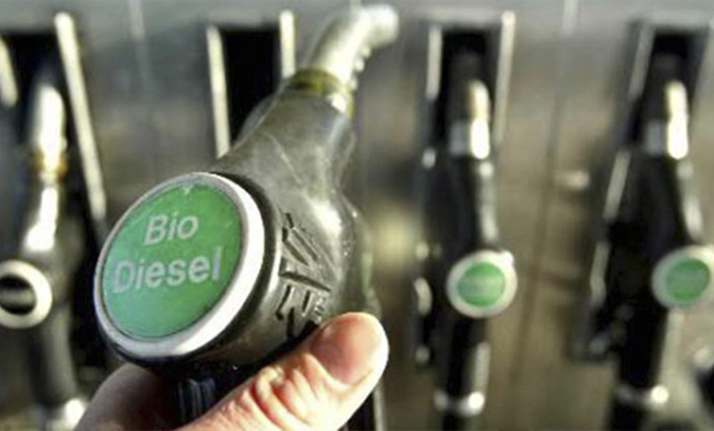 Empresas de biocombustible de la región paralizaron su producción y peligran 280 puestos de trabajo 