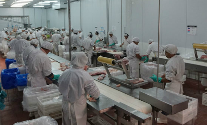 Un frigorífico del norte de la provincia exportó por primera vez carne de cerdo a China