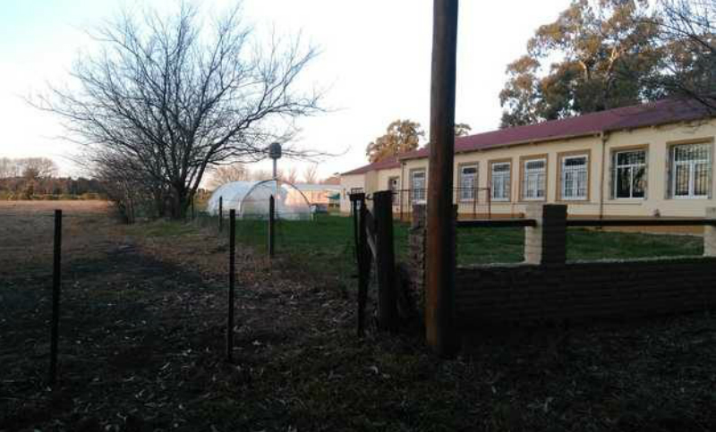 Agrotóxicos: preocupación por la contaminación en escuelas rurales