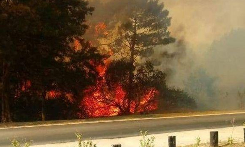 Un incendio de 50 hectáreas azota a Villa Gesell