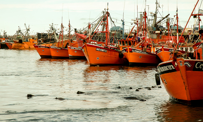 La economía cayó 1,9% en noviembre del 2019 y la industria pesquera fue la más afectada